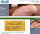 holly poultry